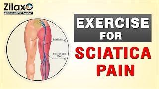 Exercise For Sciatica | Nerve Pain | Leg Pain | Back Pain | Zilaxo Pain Clinic