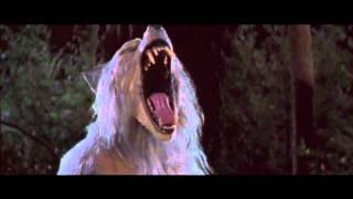 One of the Best WereWolf Videos Baby - Rob Zombie HD