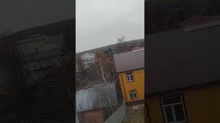 11 ноября 2024 г.