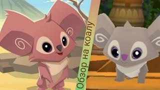 Обзор на коалу из игры Animal jam play wild