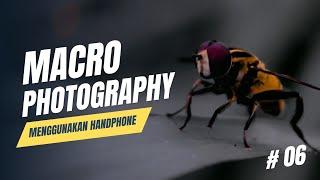 Macro Photography untuk pemula menggunakan HP