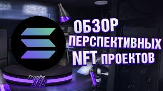 Обзор перспиктивных NFT проектов на Solana и NEAR #2