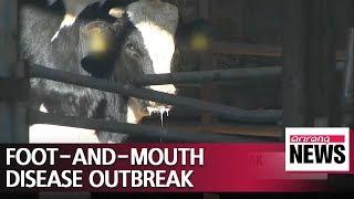 All-out efforts to quarantine FMD underway: Ministry