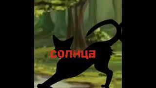 мечты бича)#арт #рисунок #котыВоители#кв#бич