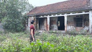 Woman Chooses to Buy an Abandoned Old House and Fix It Up, Surprising the Neighbours