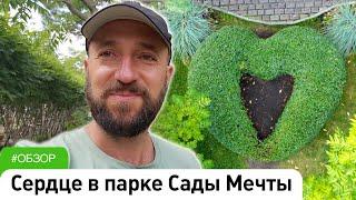 Сердце из кизильника в парке Сады Мечты Абакан. Денис Сафронов