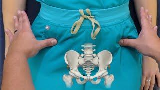 Pelvis & Sacrum Palpatory Landmarks for Physical Examination and Osteopathic Structural Exam