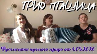 ТРИО ПТАШИЦА - фрагменты эфира от 01.05.2020 @VeronicaKurbanmamadova @SvetlanaKosheleva4