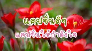 แคปชั่นให้กำลังใจ | แคปชั่นดีๆ | ท้อแต่ห้ามถอย #คำคม #คำคมให้กำลังใจ