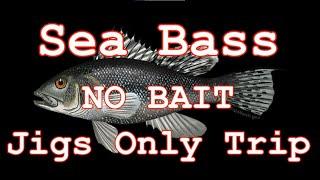 Jigs ONLY Sea Bass Fishing Long Island , NY - NO BAIT!!!