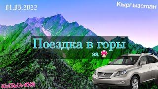 Кызыл-Кия, Кыргызстан. Поездка в горы за грибами в сторону Абшир-Ата 01.05.2022