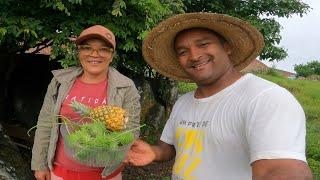 MUITA CHUVA NO SÍTIO TIVE QUE SALVAR OS PINTOS E COLHEITA DE MAXIXE NA ROÇA COM MÃE MARIA