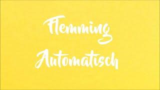 Flemming - Automatisch (Lyrics Video)