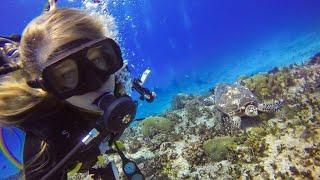 Beautiful Girl Diver | Scuba Girl | Underwater |Scuba Diving | Diving Short Video |