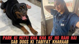 All the dogs are getting sick after eating park soil. !!!