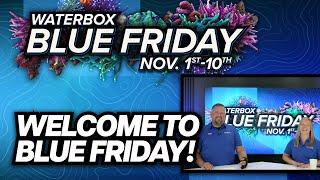 Welcome To Blue Friday! New Product Announcements.