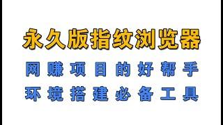 推荐一款永久版指纹浏览器，网赚环境搭建好帮手。