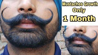 1 Month Main Mustache Growth   Grow Mustaches Faster , Mustaches Setting