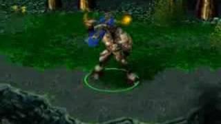 DotA Allstars Raigor Tribute