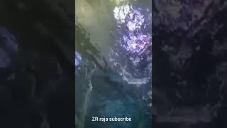the deep hull fish area