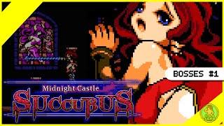 Midnight Castle Succubus - gameplay - Steam all bosses #1