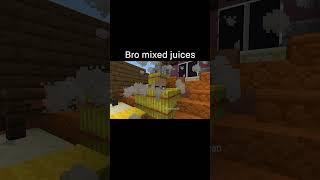 Minecraft Meme
