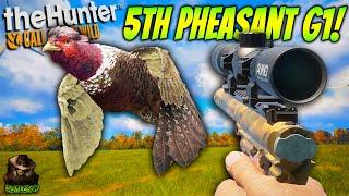 Hunting The Fabled Morganite Great One Pheasant With A HANDGUN! Call of the wild