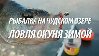 РЫБАЛКА НА ЧУДСКОМ ОЗЕРЕ. ЗИМНЯЯ ЛОВЛЯ ОКУНЯ НА МОРМЫШКУ И БЛЕСНУ С НОРМУНДОМ ГРАБОВСКИСОМ