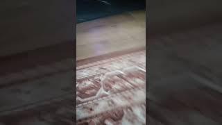 My 3 Year Old Toddler Dances (POV Version)