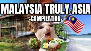 CAT MEMES: LET'S GO TO MALAYSIA PT.1