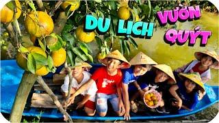 Tony | Du Lịch Vườn Quýt Khổng Lồ - Collect Mandarin Oranges