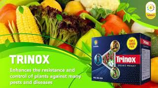 Trinox Triple Pack: Ultimate Solution for Pest Control, Plant Growth & High Yield