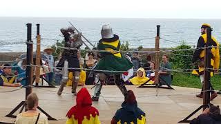 BotN 2018 Female Longsword Aus vs Russia