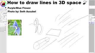 How to draw lines in 3D space 