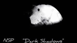 NSP-Dark Shadows (Original Mix)