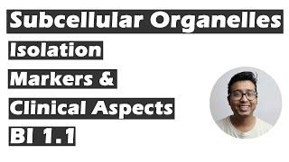 Subcellular organelles : Isolation , Markers and Clinical Aspects (Competency BI 1.1)