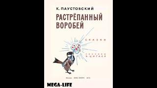 Растрёпанный воробей - краткий пересказ от лица Маши