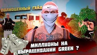 САМАЯ ПРИБЫЛЬНАЯ ПОДРАБОТКА 300К ЗА ПОЛТОРА ЧАСА | ВЫРАЩИВАНИЕ КУСТОВ GREEN в GTA 5 RP / Majestic RP