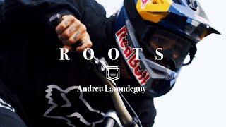 ROOTS - Andreu Lacondeguy