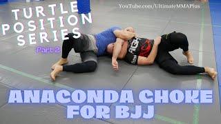 Anaconda Choke for BJJ : Turtle Position Series Part 2