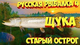 русская рыбалка 4 - Щука озеро Старый Острог - рр4 фарм Алексей Майоров