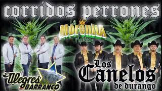 Los alegres del barranco vs los canelos de durango