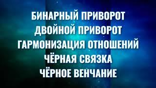 БИНАРНЫЙ ПРИВОРОТ.ДВОЙНОЙ ПРИВОРОТ. Что такое БИНАРНЫЙ ПРИВОРОТ.ЧЁРНАЯ СВЯЗКА.Возврат отношений .