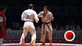 2010 WKO World Kumite Championships Middleweight Third Fight Level 2