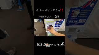#静岡ホビーショ2025のぎゅー #静岡市 #モニュメントガチャ