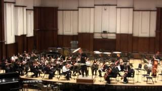 Warlock's Capriol Suite For String Orchestra - DSO Sinfonia String Orchestra - May 8, 2016