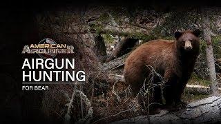 American Airgunner TV | Airgun Hunting for Bear