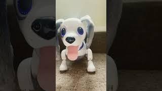 Zoomer Playful Pup All Voice Commands Part 1