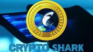 Crypto Shark