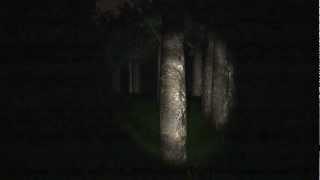 SLENDER: FINALE - ALLE 8 SEITEN  - WALKTHROUGH  -  German / HD